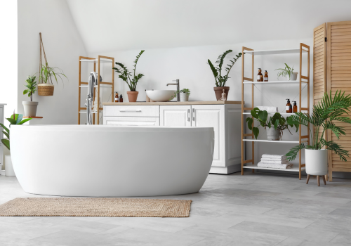 Bathtub conversion Services